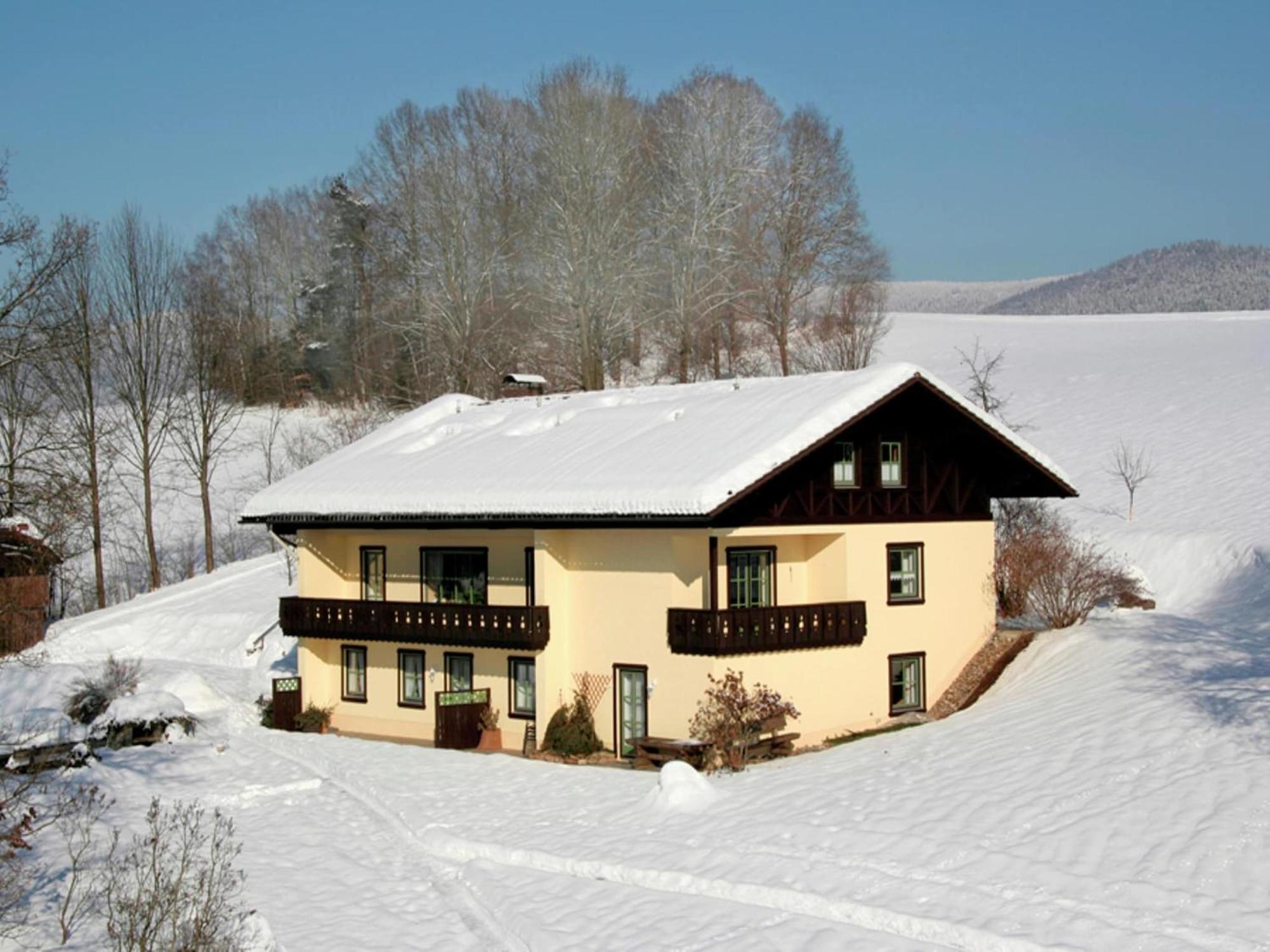 Holiday Home With Sauna Near A Ski Resort Drachselsried Ngoại thất bức ảnh